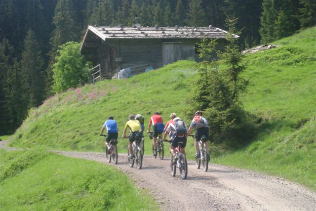 Mountainbikeer auf dem Weg