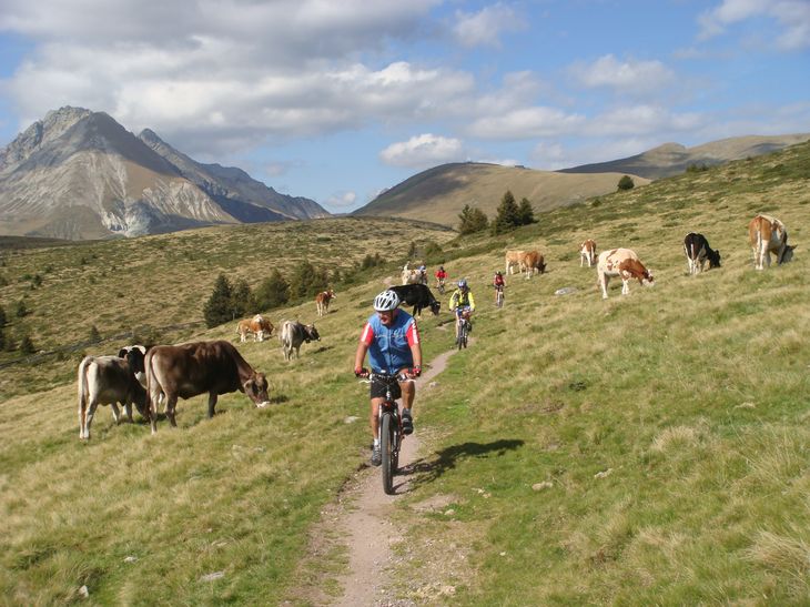 Mountainbiker