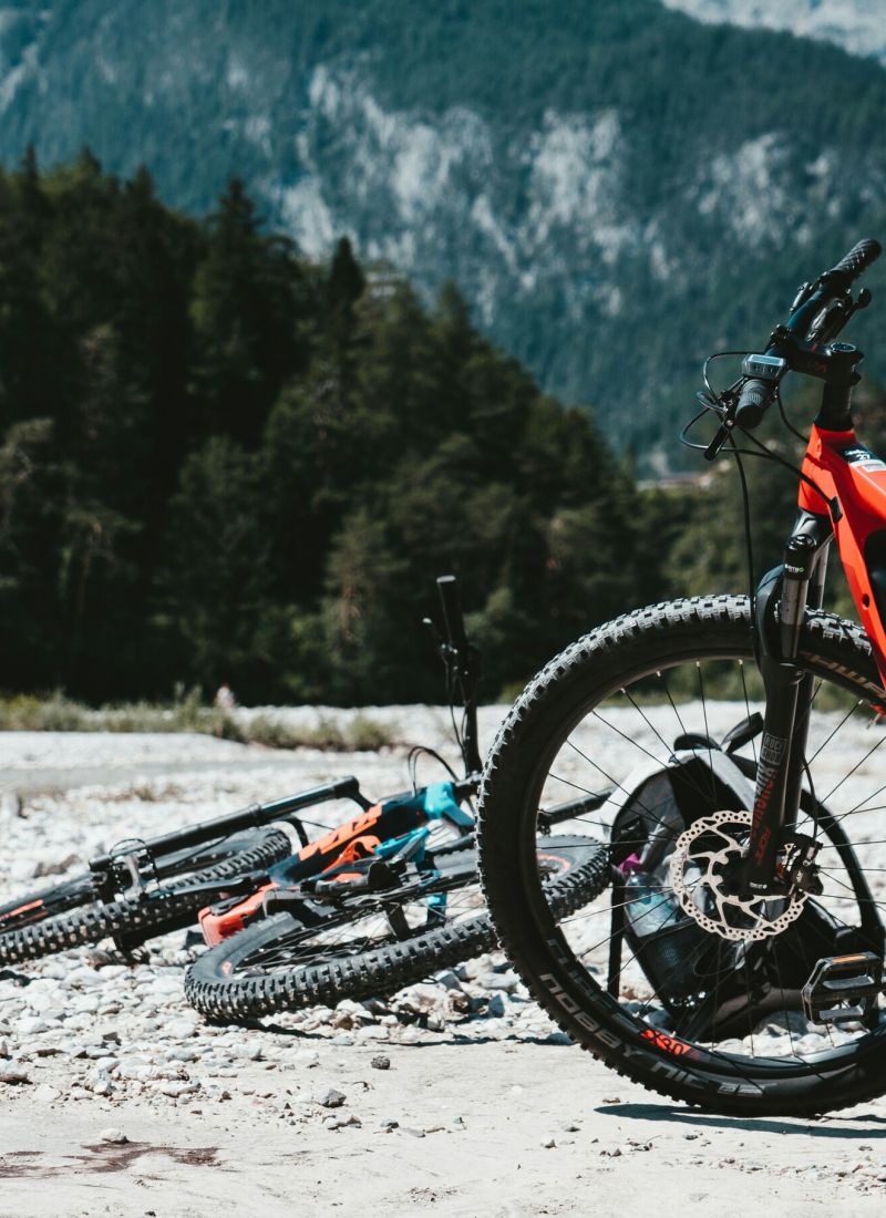 Wellnessbike